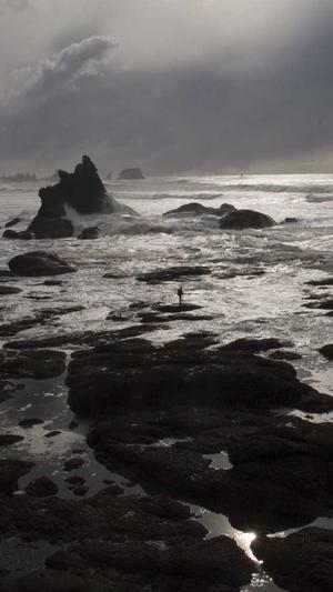 一只小仙若黑料截图3